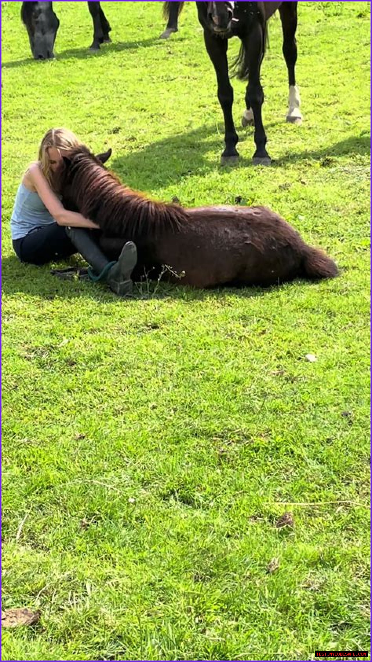 Exploring The Life And Journey Of Casper Henderson Stockwell